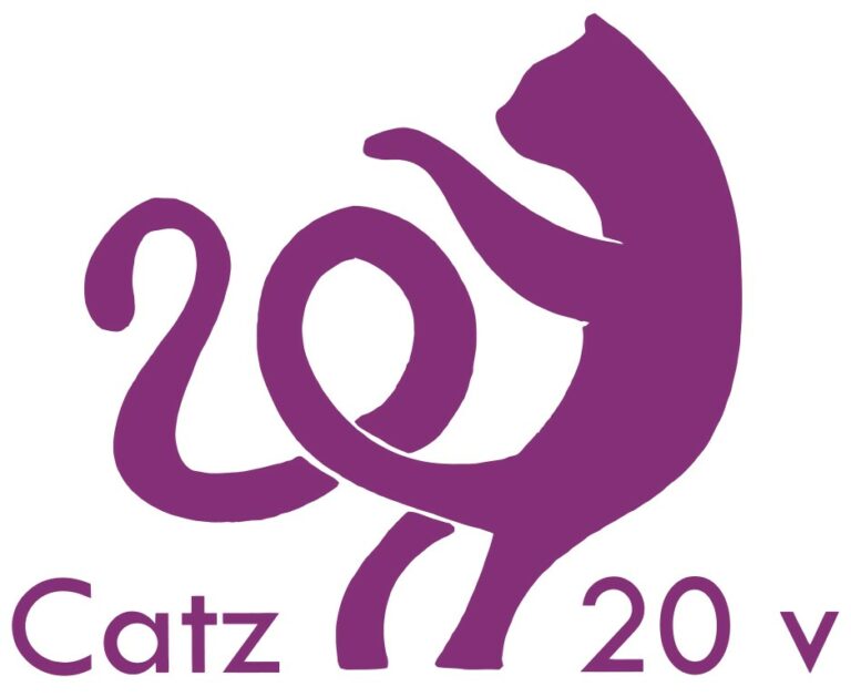 Catz hakee juniorivastaavaa