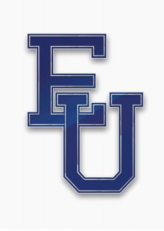 Hongan edustusjoukkueet Espoo Unitedin viirin alle