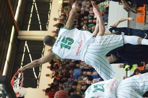 Bearsin päänahka toistamiseen Team TEHO Sportin vyölle