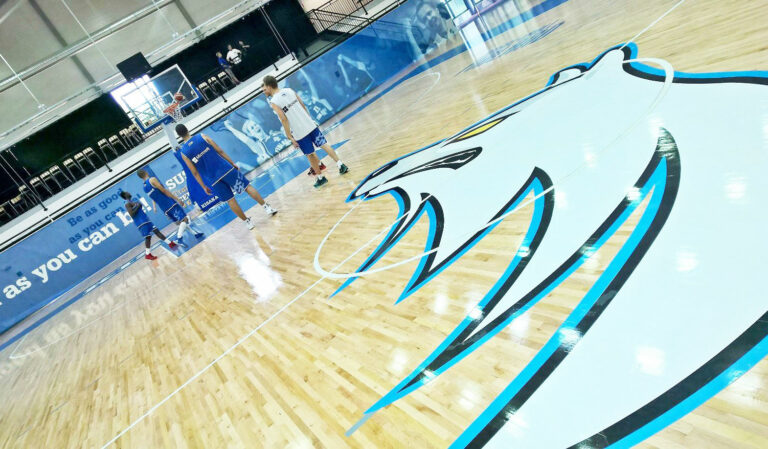 Helsingin NMKY:n ja Kisakallion korisripari Susi Training Centerissä