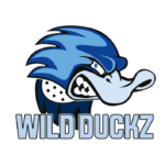 Kempele Wild Duckz ry hakee koripallovalmentajaa miesten edustusjoukkueelle